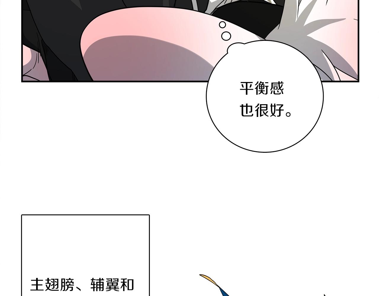 我有一只三星龙漫画,第38话 飞龙接力赛！5图